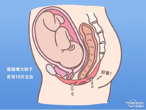 盆底康復(fù)治療儀